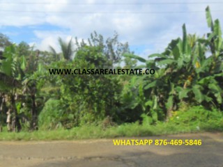 117 Tremolesworth Drive, St. Mary, Jamaica - Residential lot for Sale